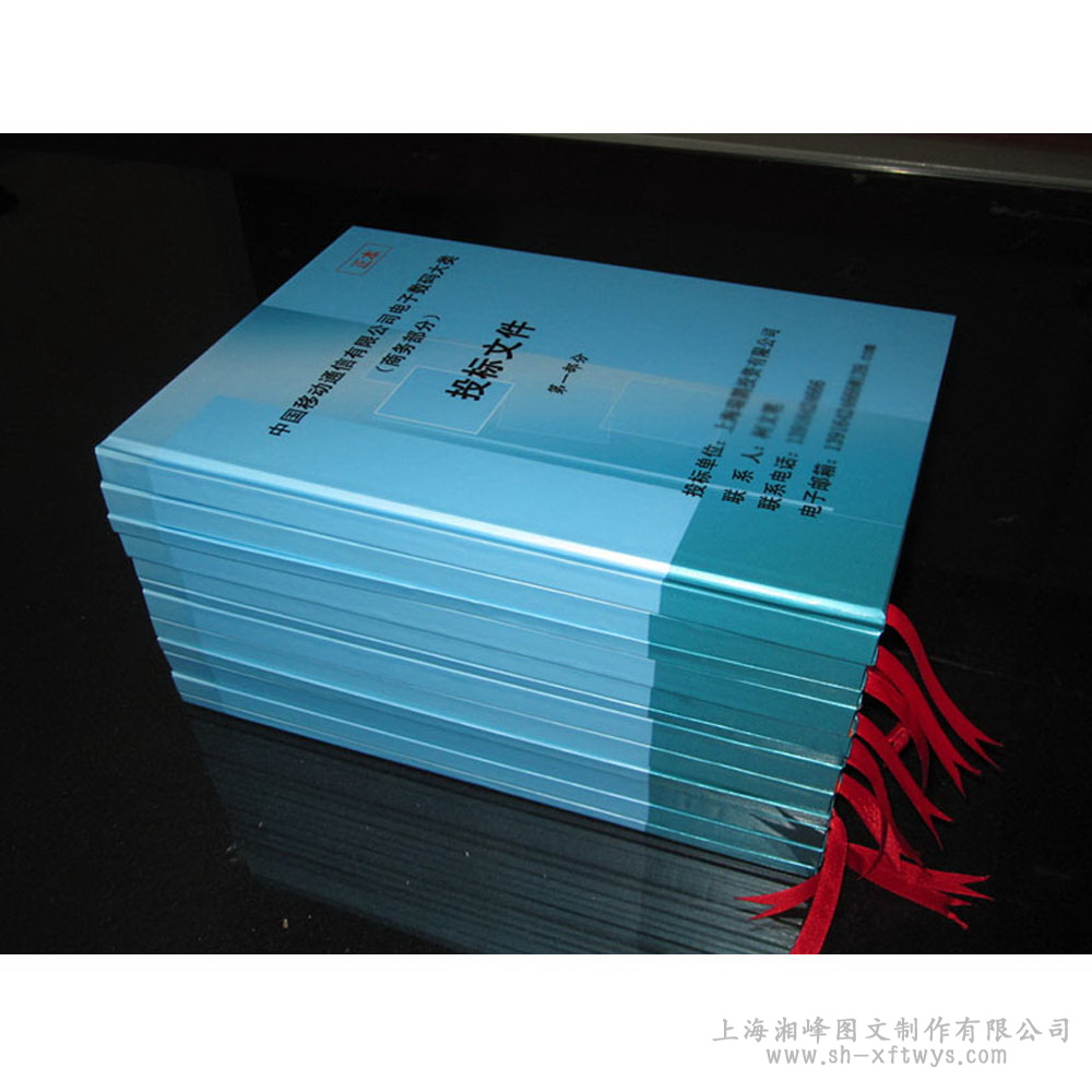 投标书精装样品